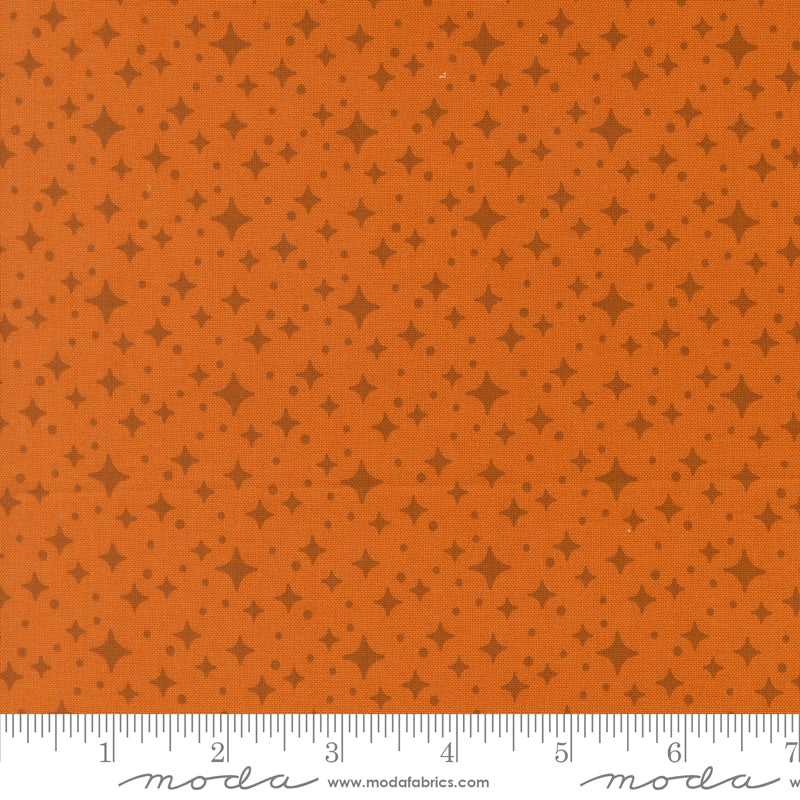 Popcorn by Elizabeth Hartman - Starlight Longhorn 51284 26