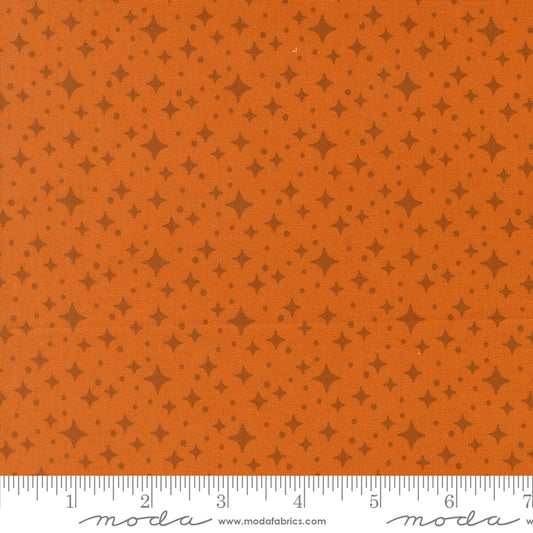 Popcorn by Elizabeth Hartman - Starlight Longhorn 51284 26
