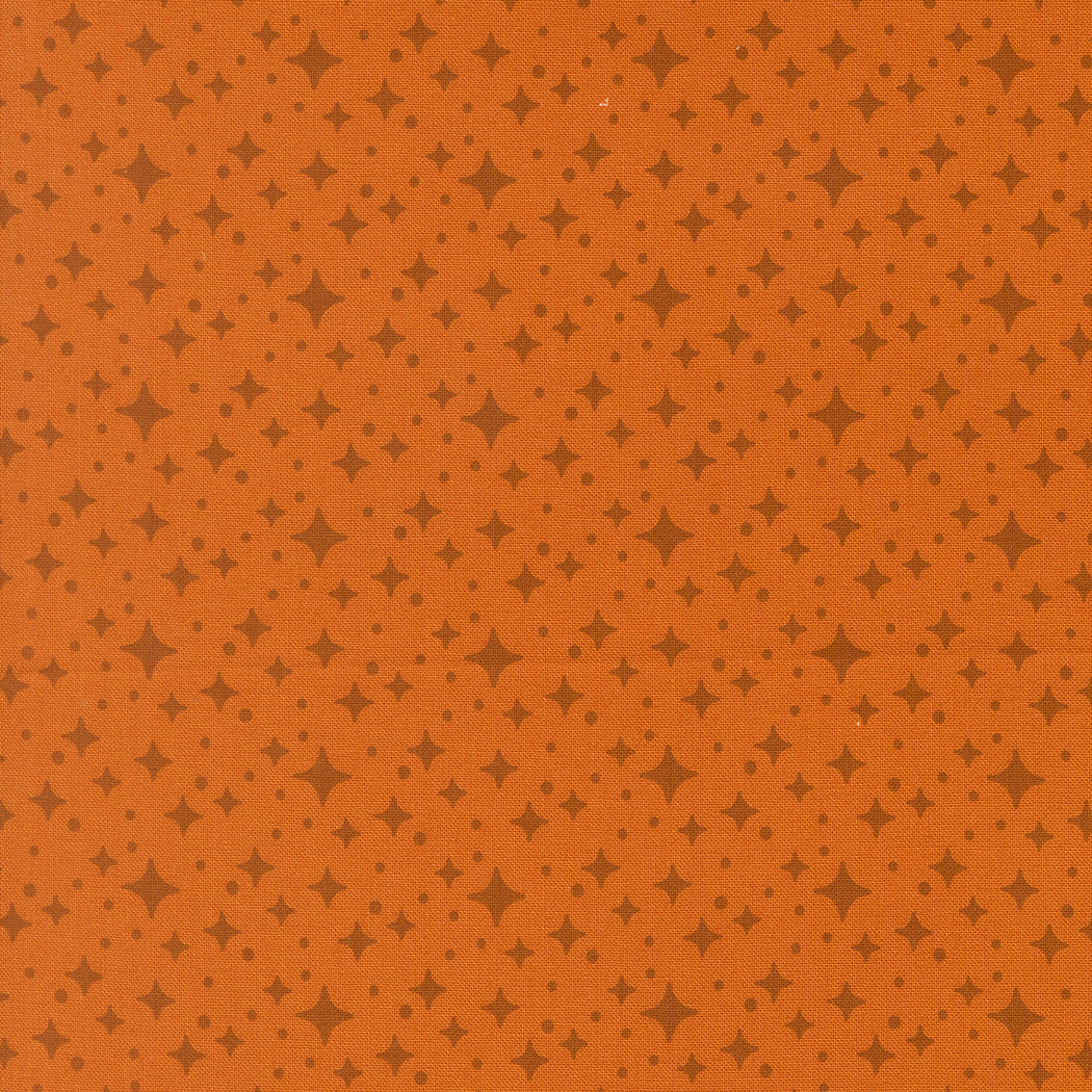 Popcorn by Elizabeth Hartman - Starlight Longhorn 51284 26