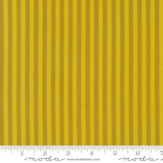 Popcorn by Elizabeth Hartman - Stripe Citrine 51283 14