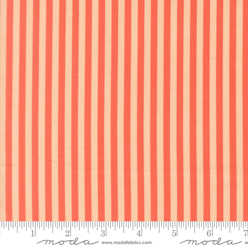 Popcorn by Elizabeth Hartman - Stripe Coral 51283 19