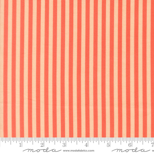 Popcorn by Elizabeth Hartman - Stripe Coral 51283 19