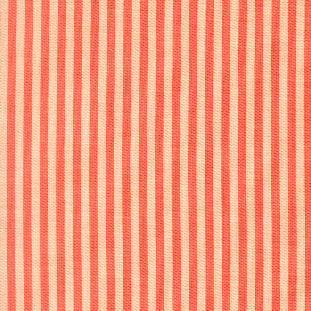 Popcorn by Elizabeth Hartman - Stripe Coral 51283 19