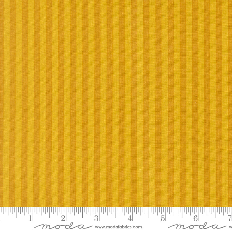 Popcorn by Elizabeth Hartman - Stripe Golden 51283 30