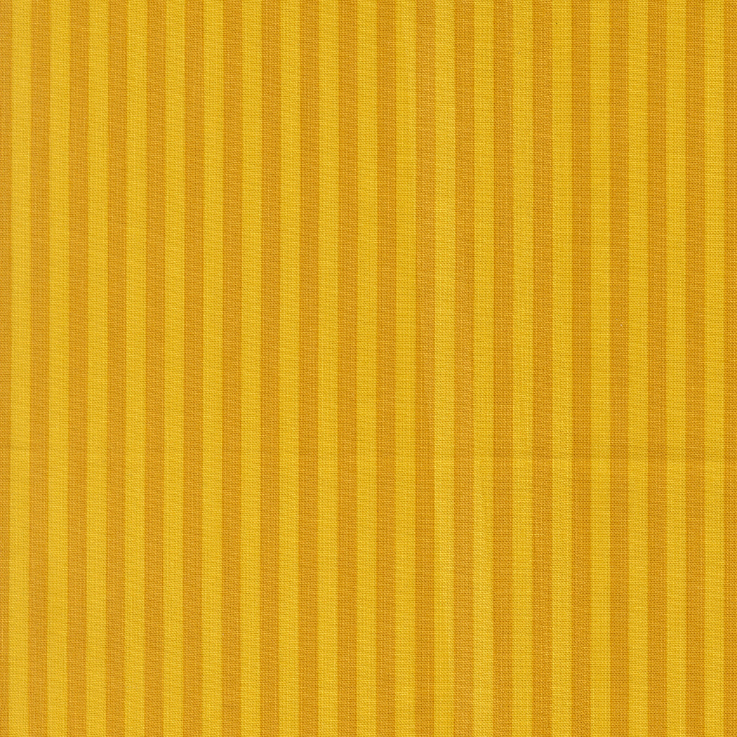 Popcorn by Elizabeth Hartman - Stripe Golden 51283 30