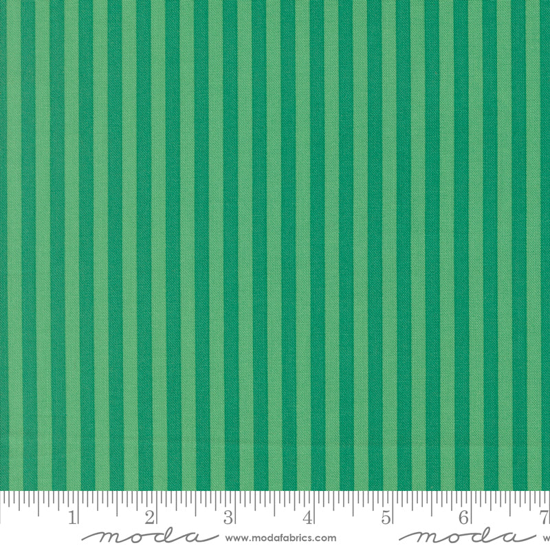 Popcorn by Elizabeth Hartman - Stripe Jade 51283 28