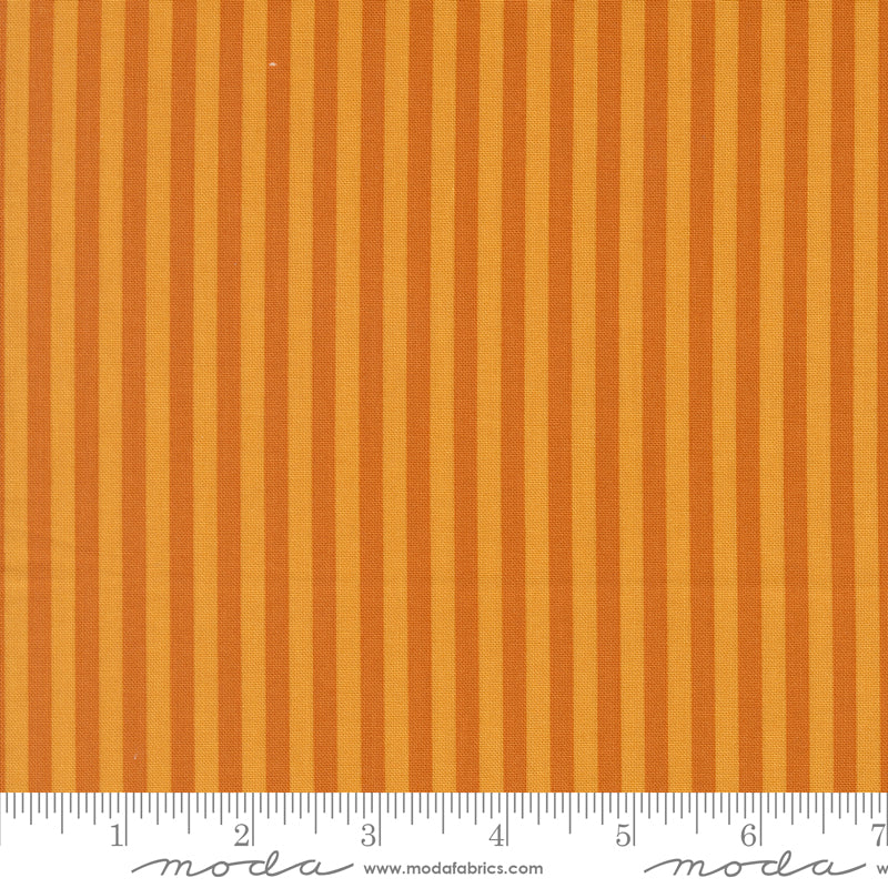 Popcorn by Elizabeth Hartman - Stripe Longhorn 51283 20