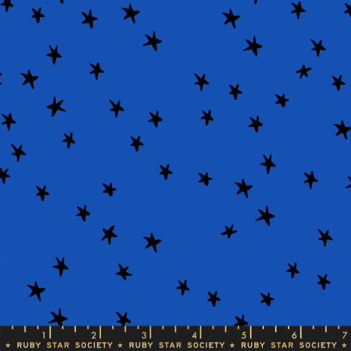 Starry par Alexia Abegg : Starry - Ruban Bleu RS4109 44 