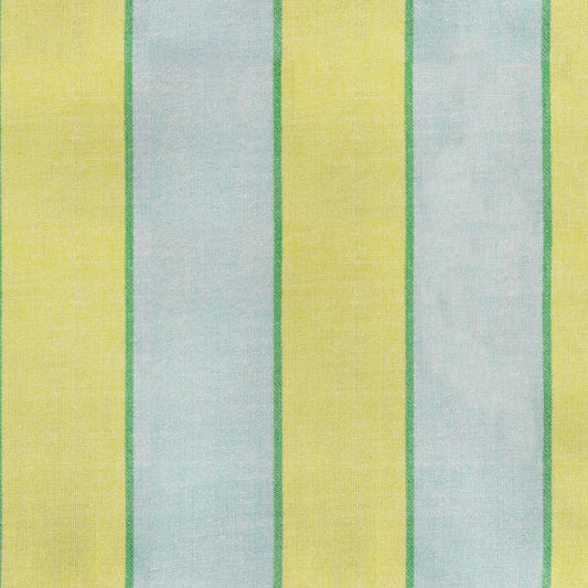 Warp & Weft Daisy Days by Alexia Marcelle Abegg : Sunny Day Pistachio RS4192 11