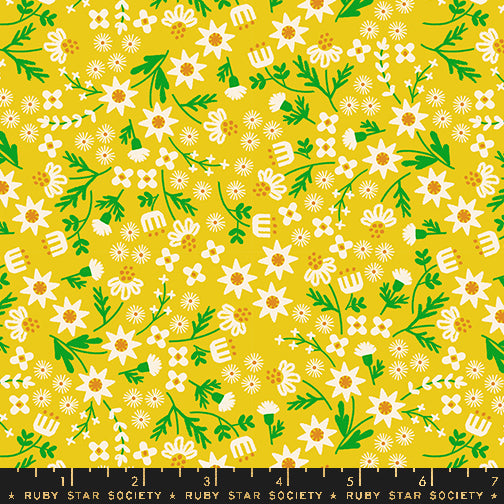 Favorite Flowers by Ruby Star Collaborative : Inflorescence Golden Hour RS5146 11 (Estimated Ship Date Aug. 2024)