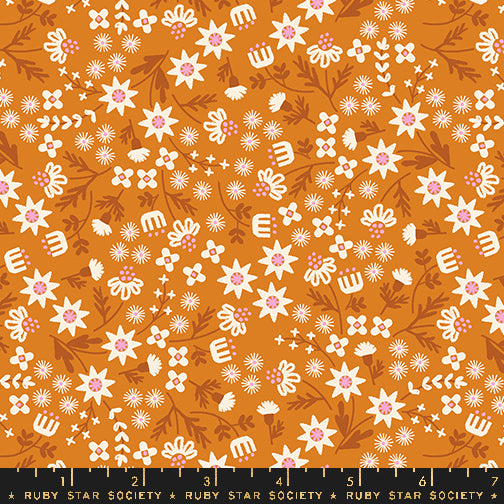 Fleurs préférées de Ruby Star Collaborative : Inflorescence Curcuma RS5146 12