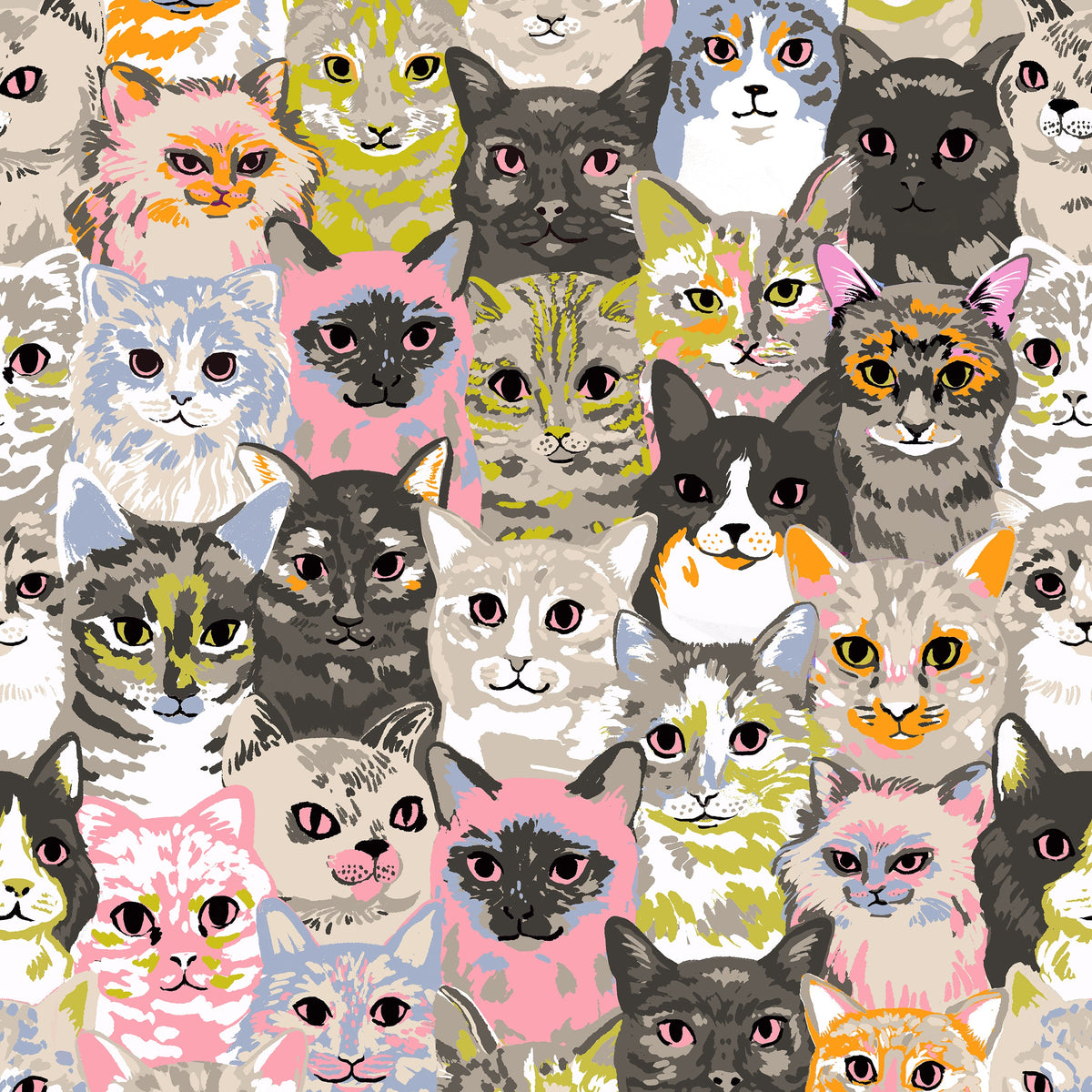 Oops All Cats by Sarah Watts : Fabric Bundles