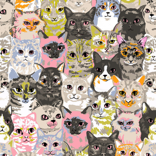 Oops All Cats by Sarah Watts : Hundreds of Cats Sandbox RS2146 11