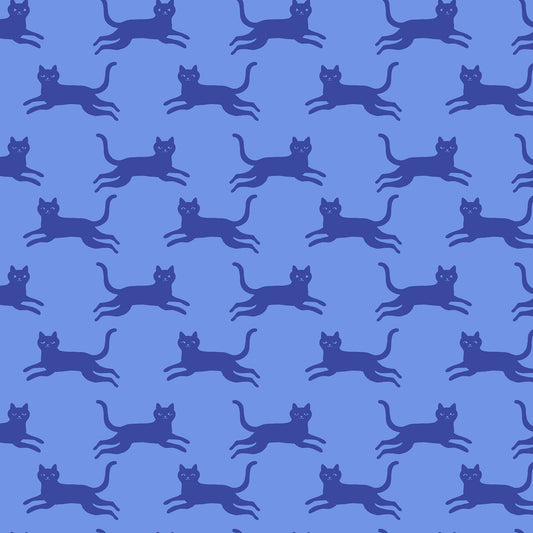Oops All Cats by Sarah Watts : Kitty Run Lindley Blue RS2150 18
