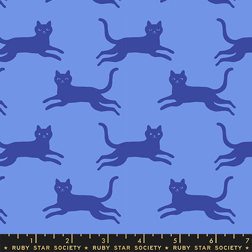 Oops All Cats by Sarah Watts : Kitty Run Lindley Blue RS2150 18