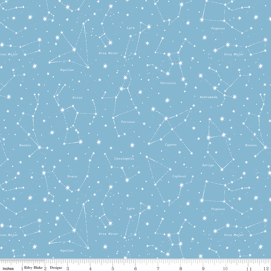 Reach For The Stars with NASA by Riley Blake Designs : Constellations Sky C18334-SKY