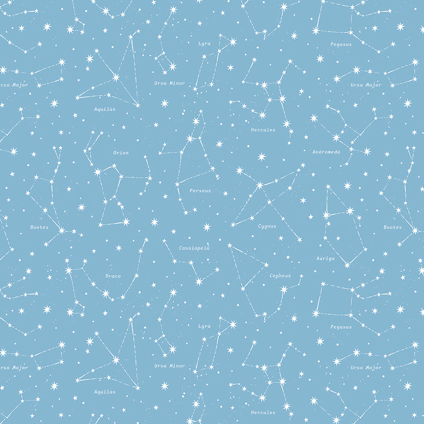 Reach For The Stars with NASA by Riley Blake Designs : Constellations Sky C18334-SKY