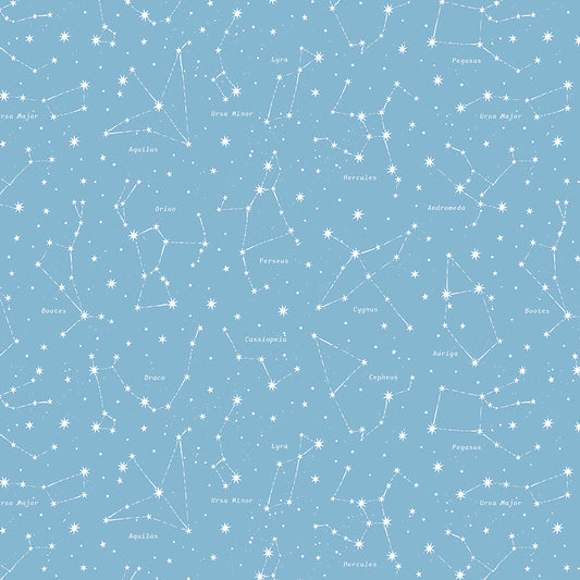 Reach For The Stars with NASA by Riley Blake Designs : Constellations Sky C18334-SKY