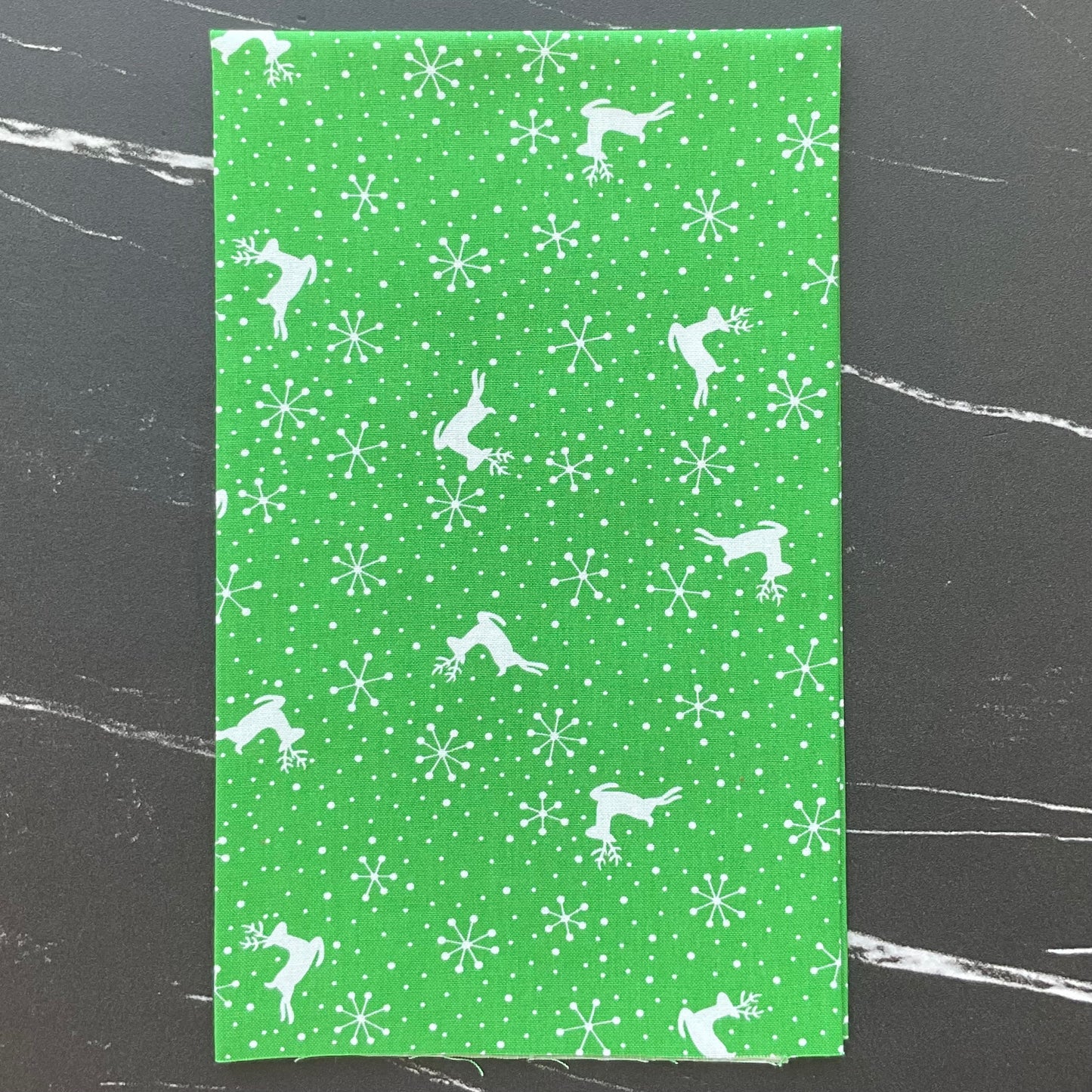 Reindeer Games by Me and My Sister Designs - Reindeer Dots - Evergreen 22446 12