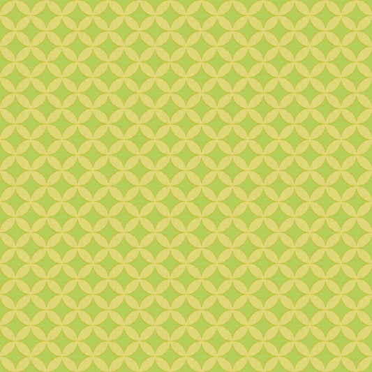 Rhapsody by Anna Maria Textiles : Woven Windows Spring AMT171-72V