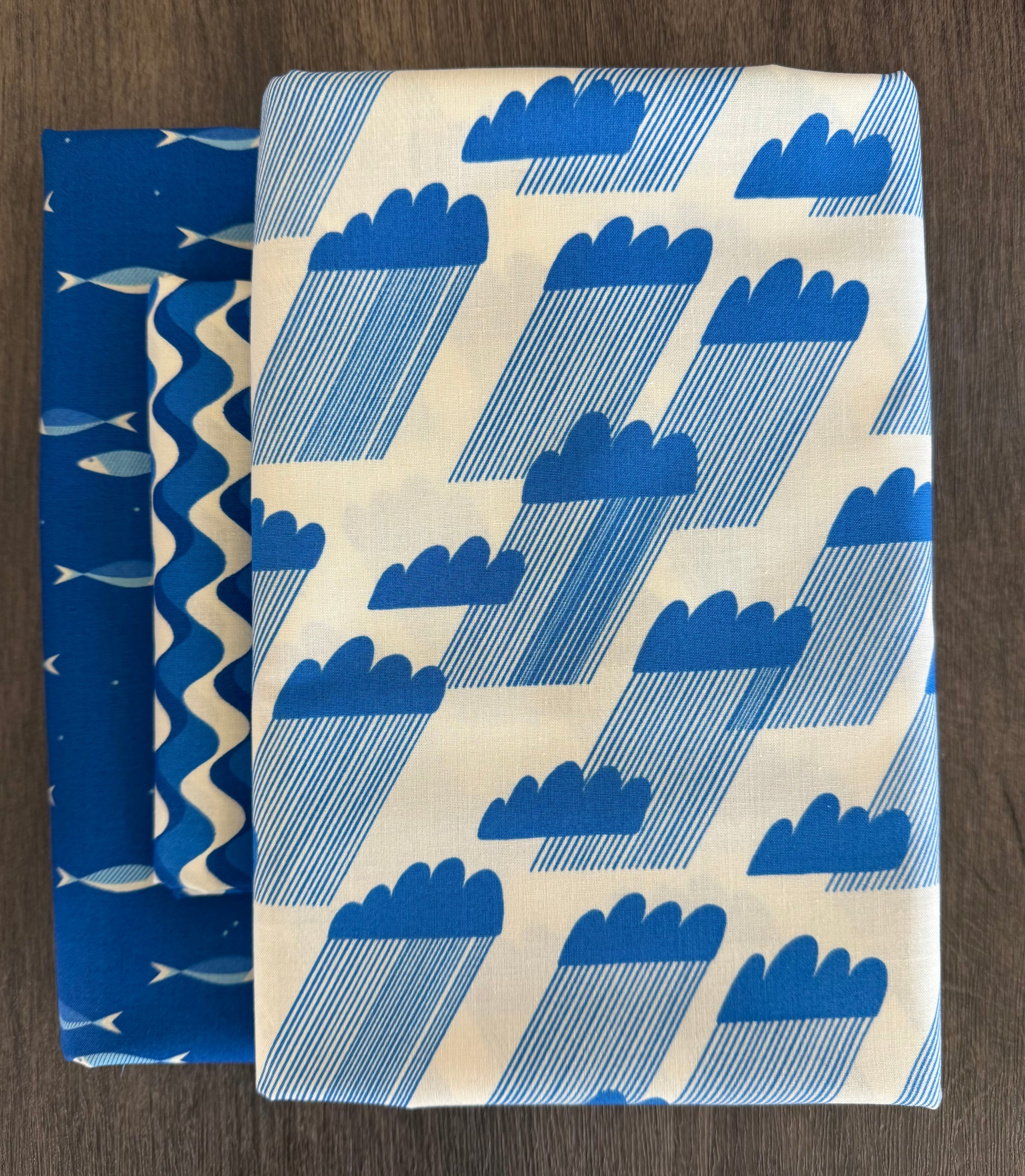 Ruby Star Society Whole Cloth Quilt Bundle