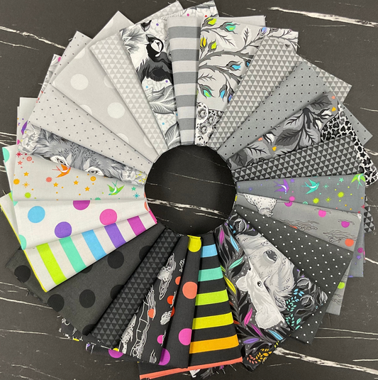 Graywork by Tula Pink : Seal the Deal Carbon PWTP259.CARBON