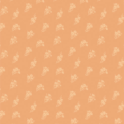 Season & Spice by AGF Studio