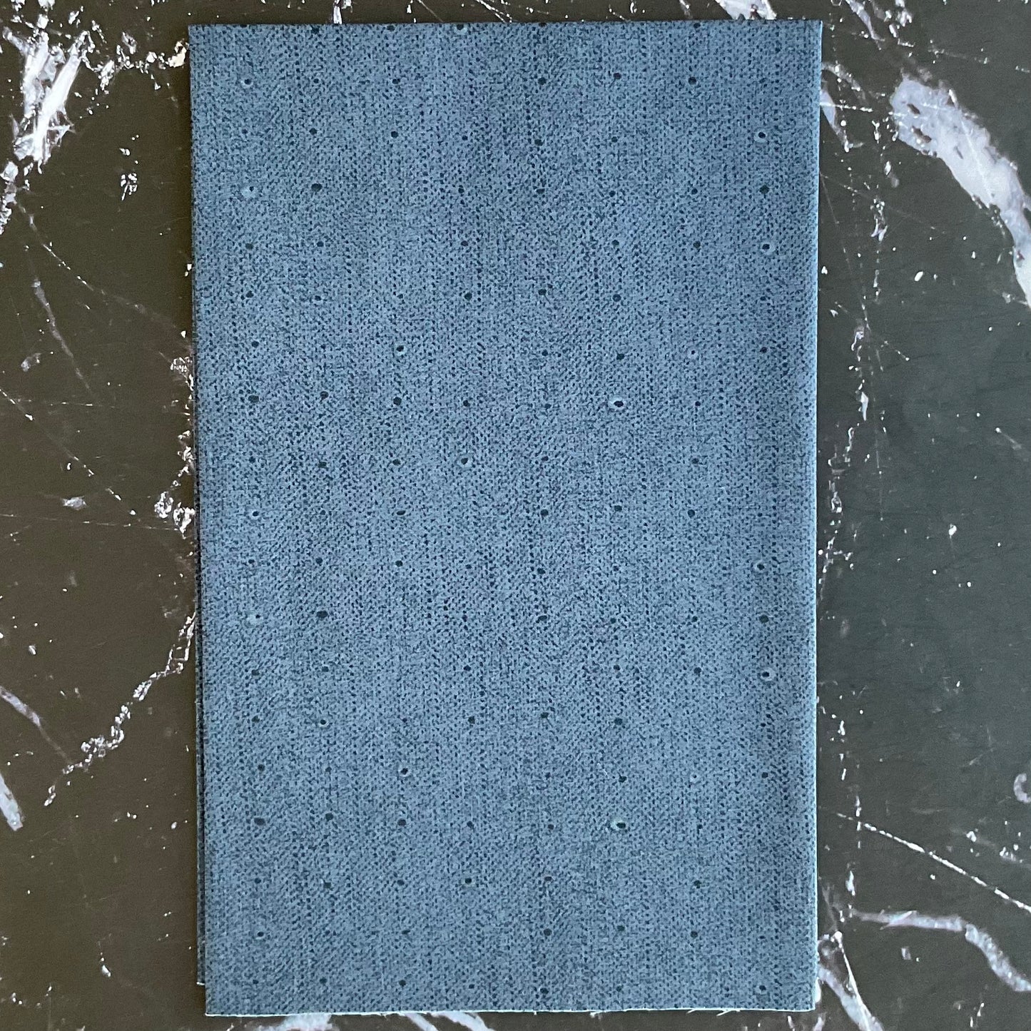 Seedling by Katarina Roccella Seeds Blueberry SDL20107