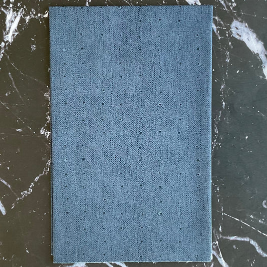 Seedling by Katarina Roccella Seeds Blueberry SDL20107