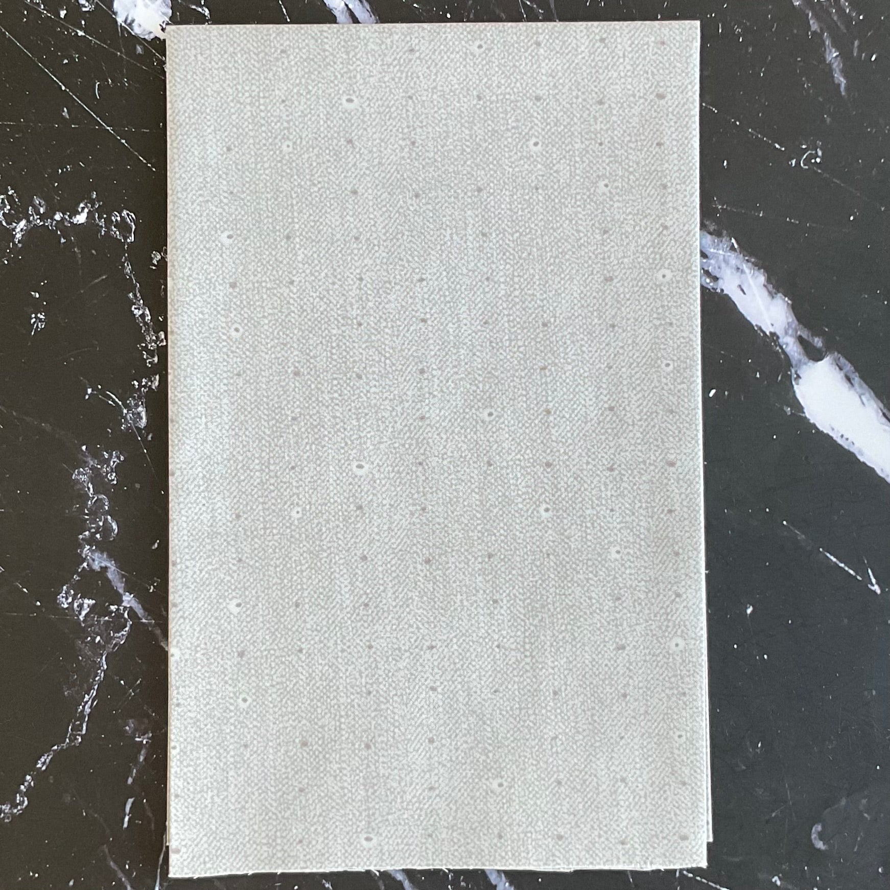 Seedling by Katarina Roccella Seeds : Dove SDL20101