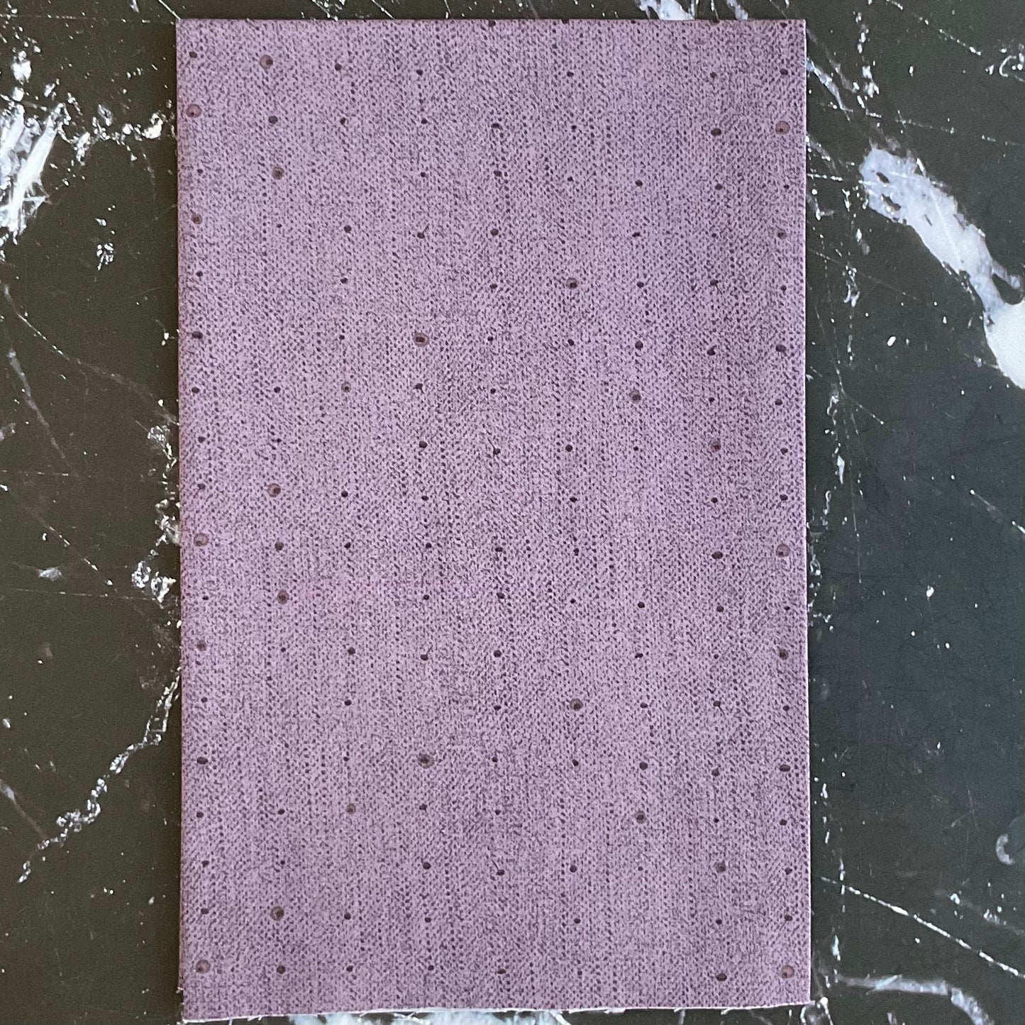 Seedling by Katarina Roccella Seeds Huckleberry SDL20105