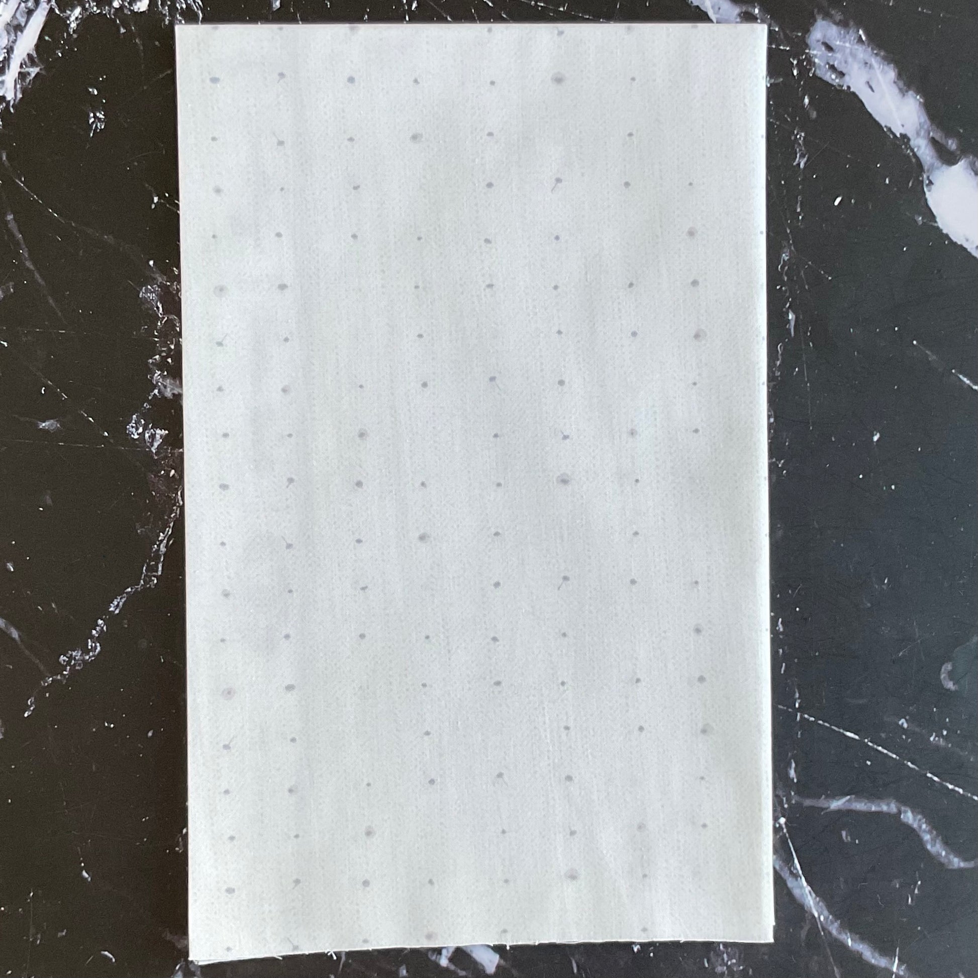 Seedling by Katarina Roccella : Seeds Longan SDL20100