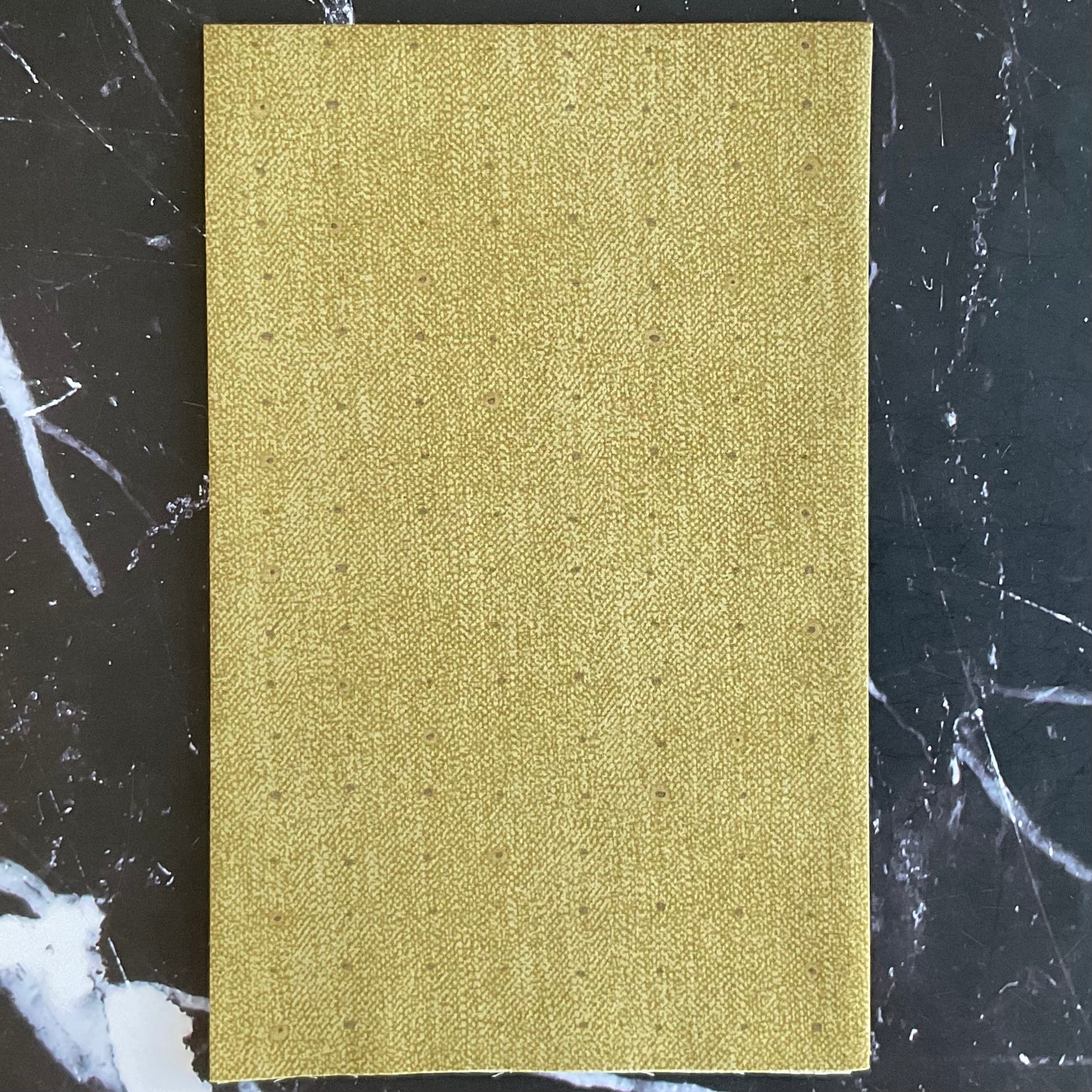 Seedling by Katarina Roccella: Seeds Olive SDL20113