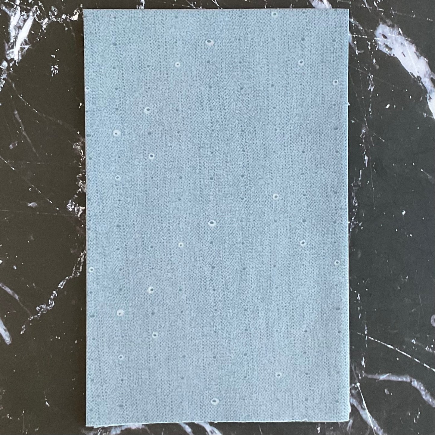 Seedling by Katarina Roccella Seeds Sky SDL20109