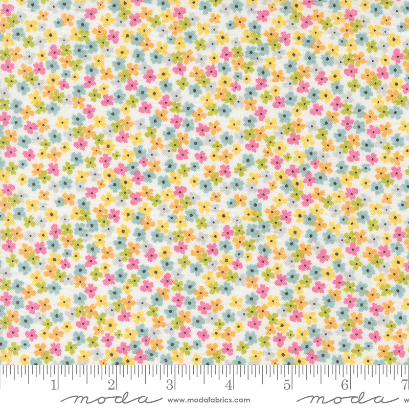 Shine by Sweetwater : Bloom Cloud 55672 11