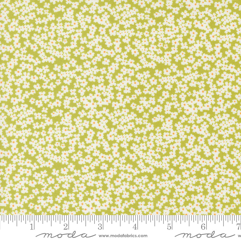 Shine by Sweetwater : Bloom Grass 55672 16