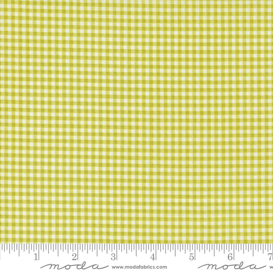 Shine by Sweetwater : Gingham Grass 55676 16