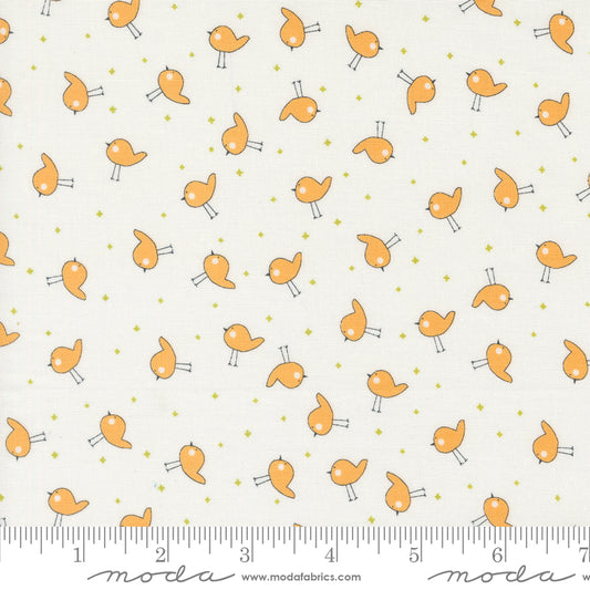 Shine by Sweetwater : Little Birdie Cloud Orangesicle 55674 15