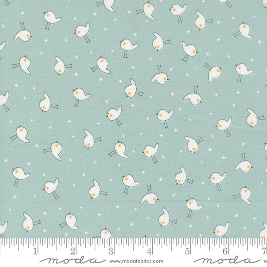 Shine by Sweetwater : Little Birdie Sky 55674 22