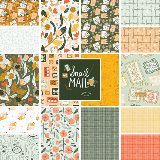 Snail Mail by Meenal Patel : Bundles (Estimated Arrival November 2025)