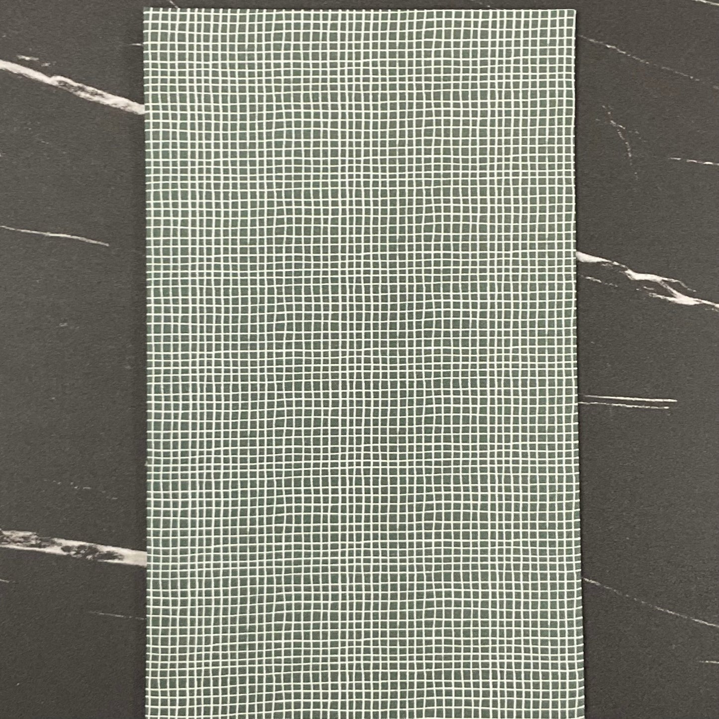 Snail Mail by Meenal Patel : Secret Message Green 228737