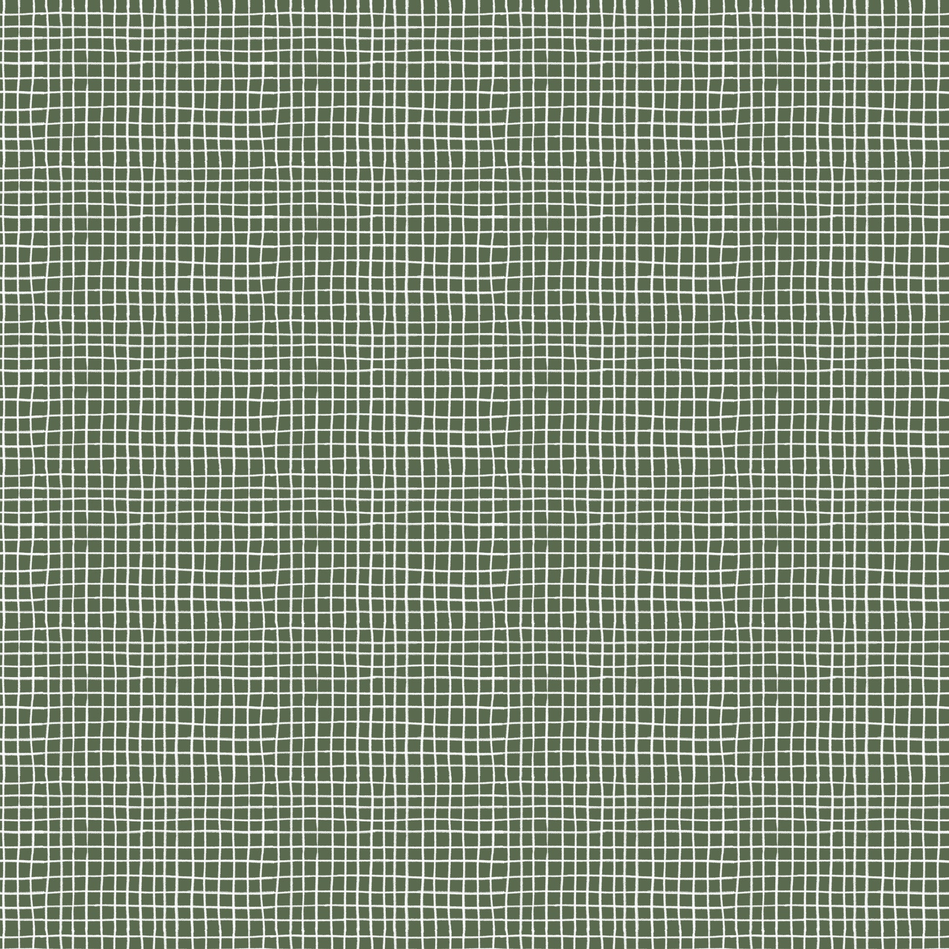 Snail Mail by Meenal Patel : Secret Message Green 228737 (Estimated Arrival November 2025)