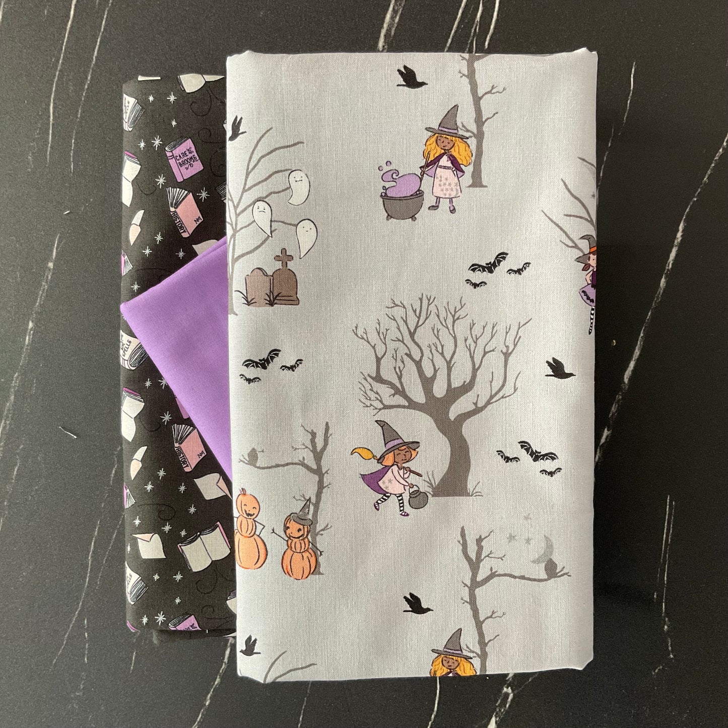 Spooky Schoolhouse by Melissa Mortenson - Whole Cloth Quilt Bundle