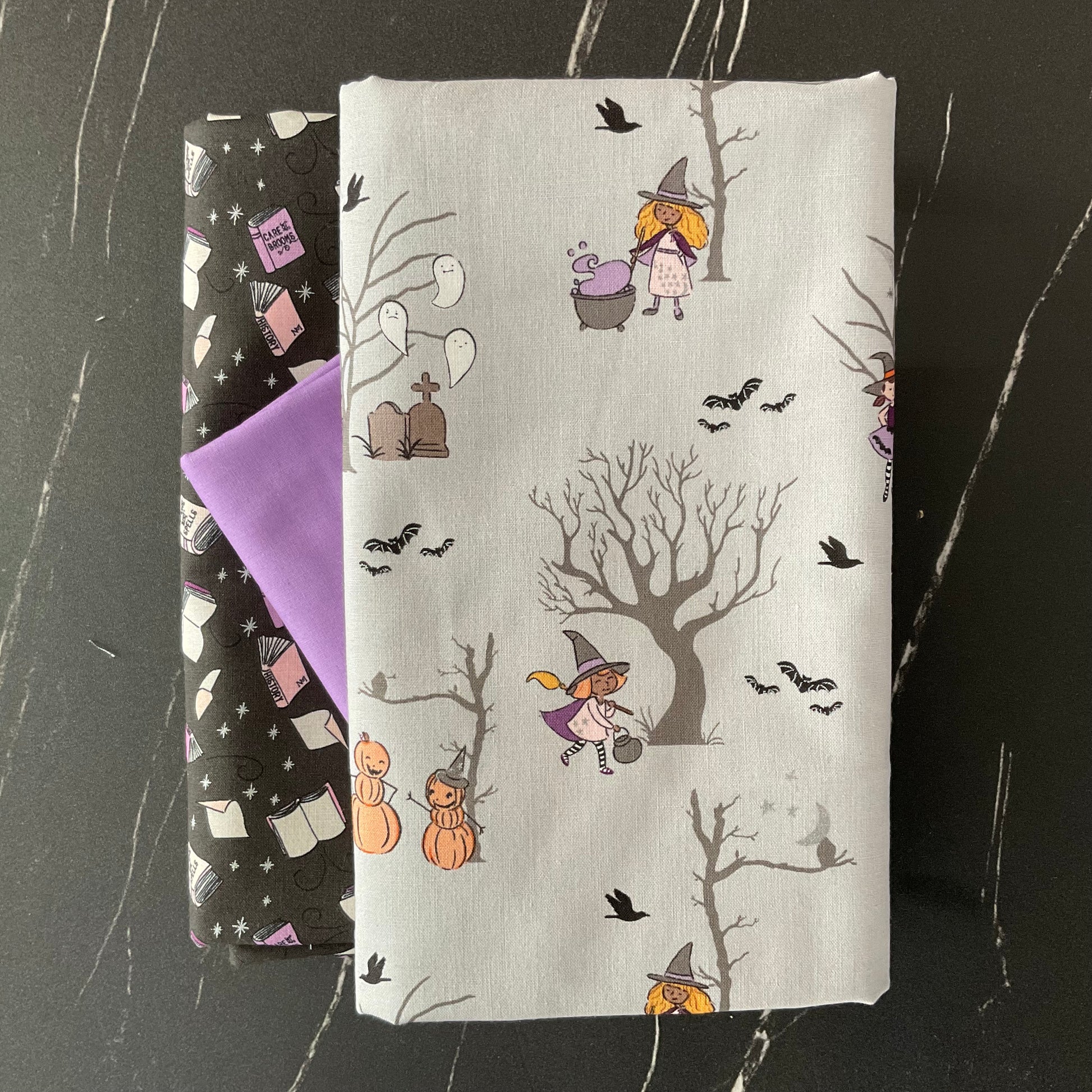 Spooky Schoolhouse by Melissa Mortenson - Whole Cloth Quilt Bundle