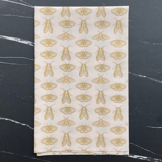 Spring Equinox by Katie O'Shea - Emerging Wings Frost