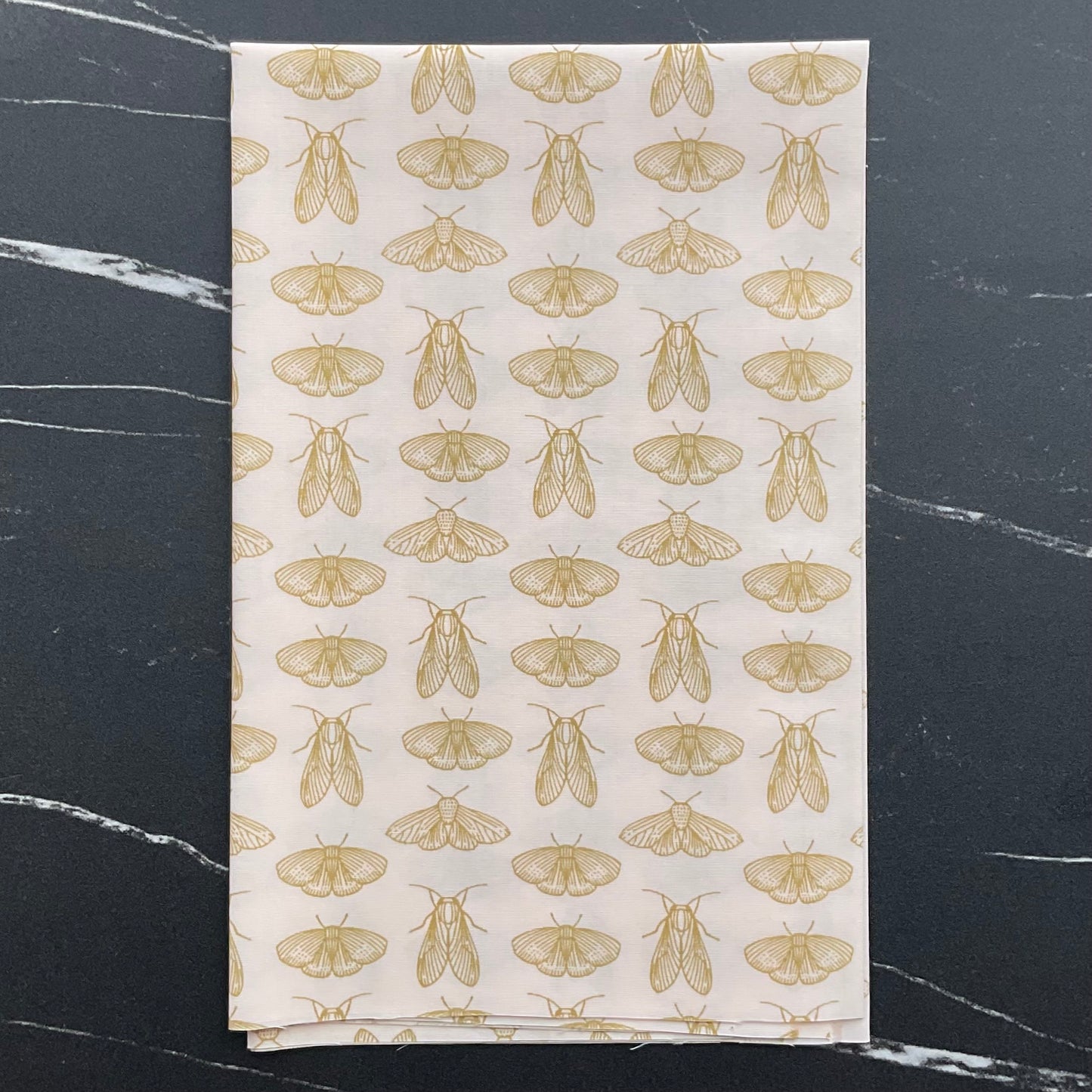 Spring Equinox by Katie O'Shea - Emerging Wings Frost