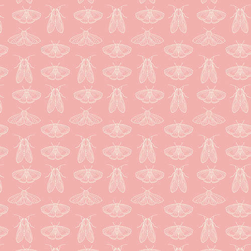 Spring Equinox by Katie O'Shea - Emerging Wings Petal