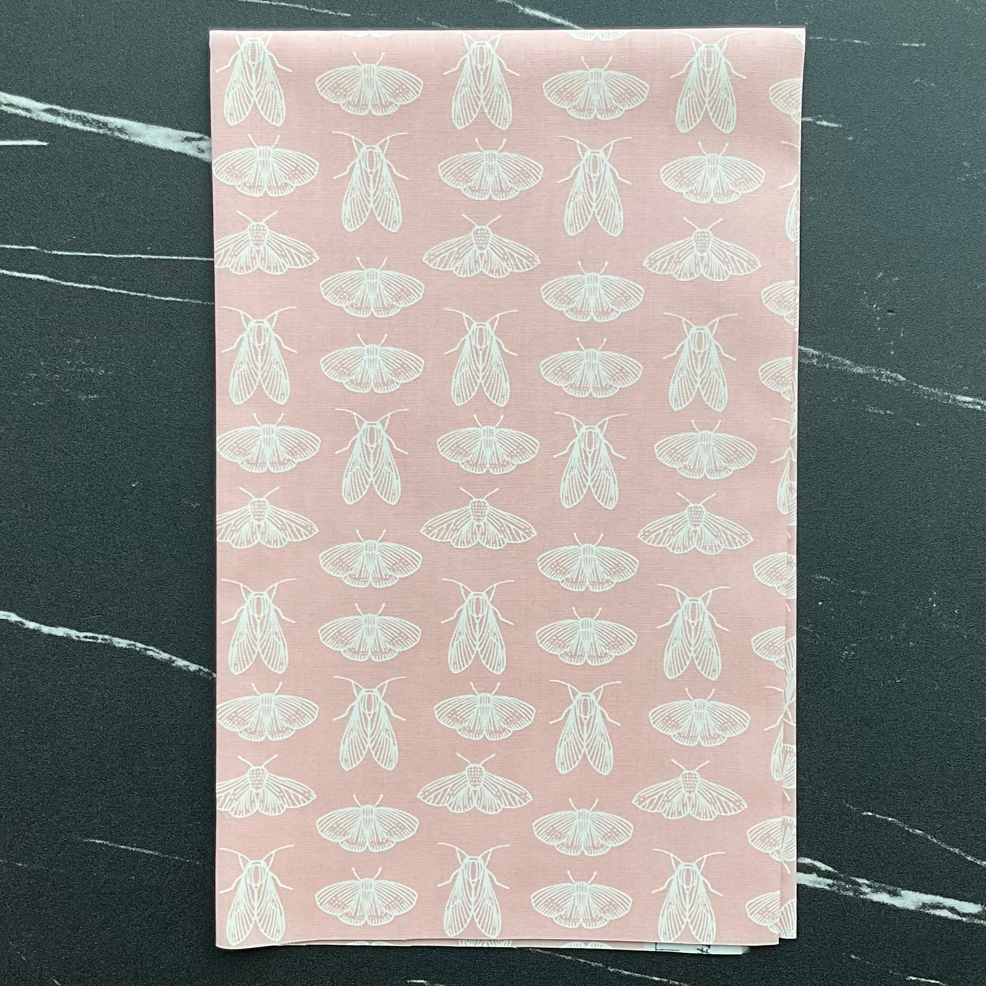 Spring Equinox by Katie O'Shea - Emerging Wings Petal