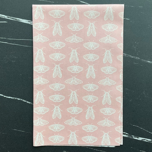 Spring Equinox by Katie O'Shea - Emerging Wings Petal