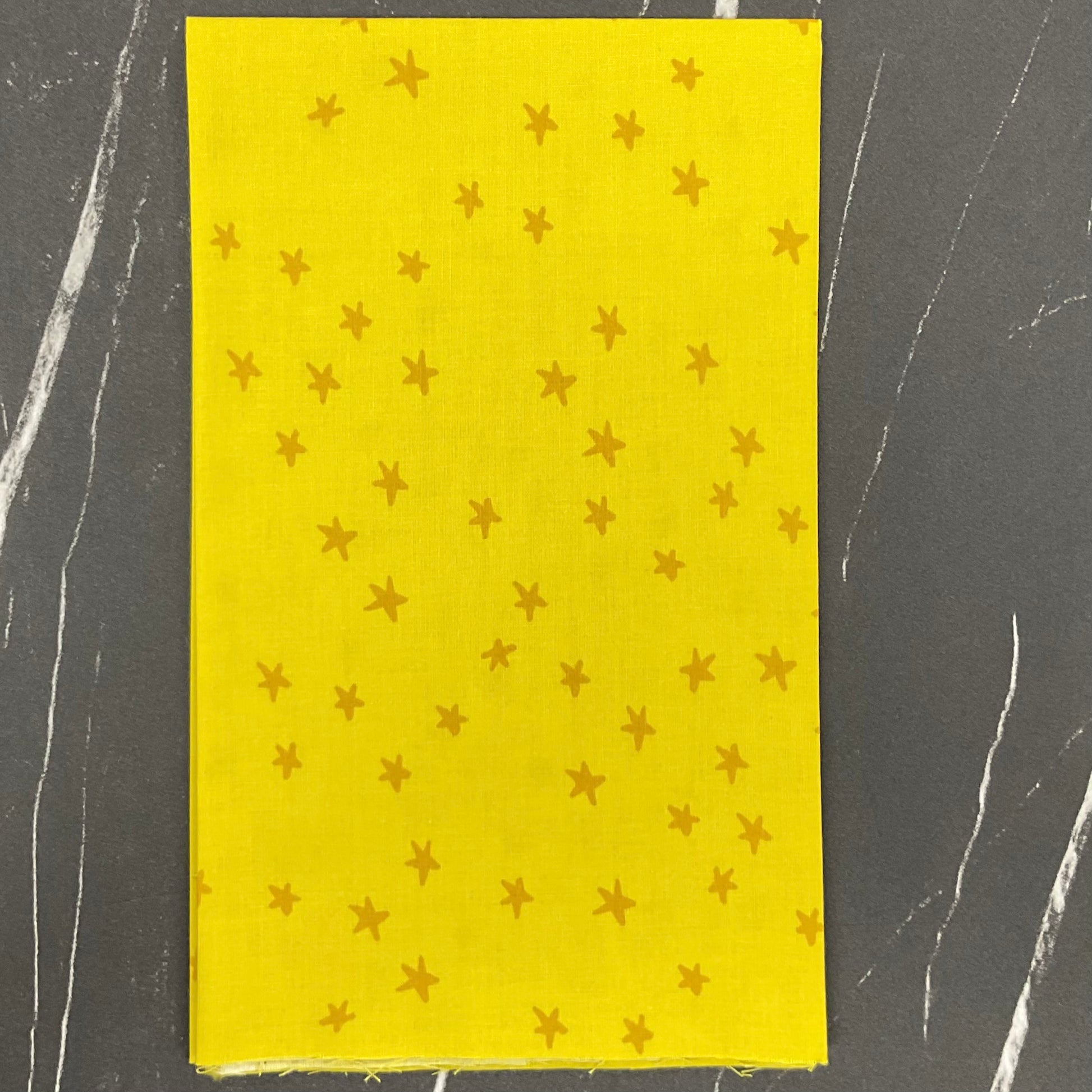 Starry 2025 by Alexia Abegg : Fabric Bundles